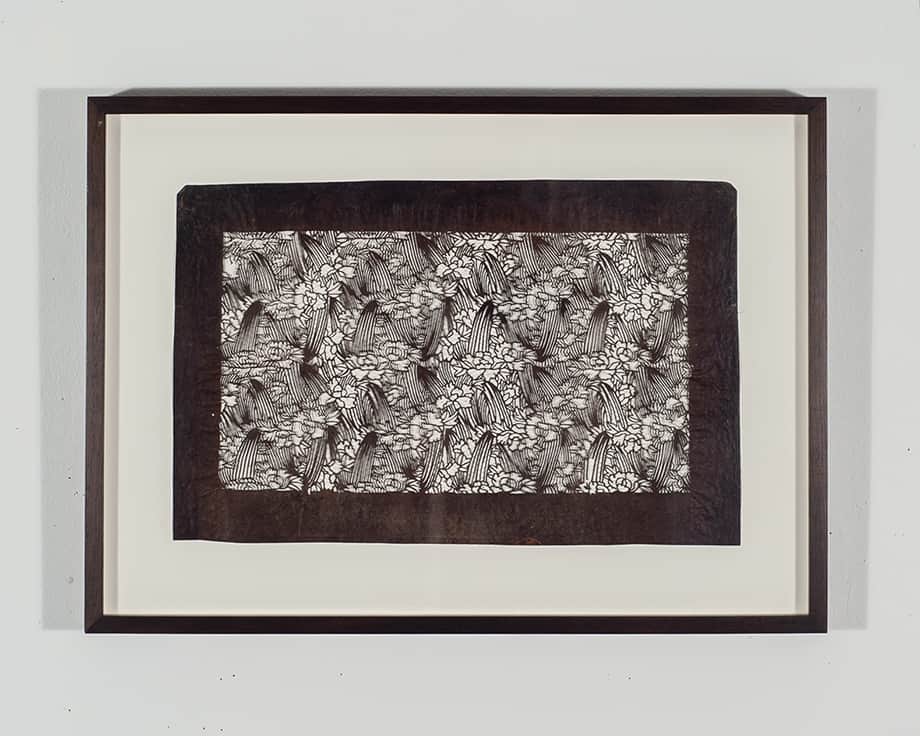 Fine Bush Clover framed