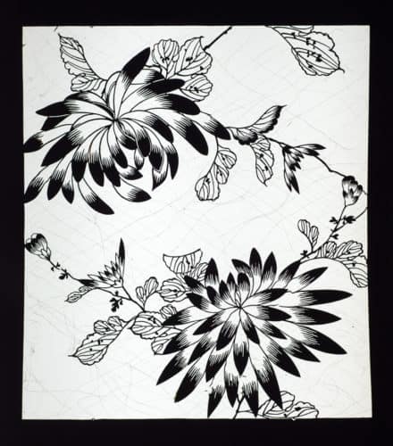 Chrysanthemum with Graphic Line Leaves