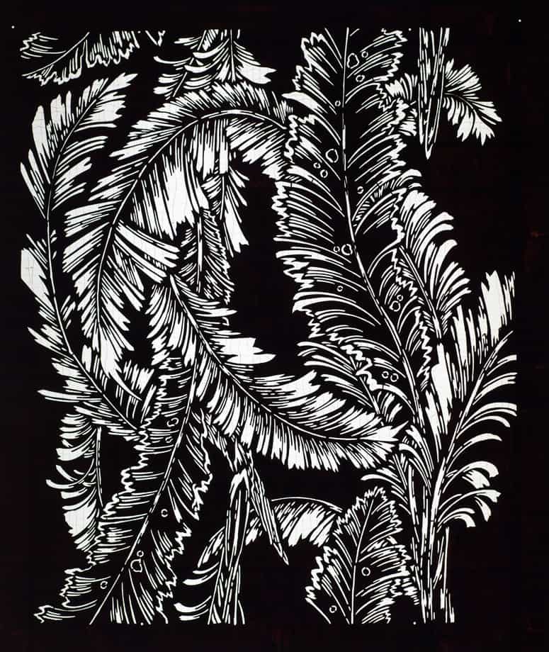 Sword Fern Leaves