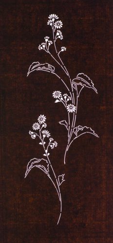 Wildflowers like Botanical Illustration