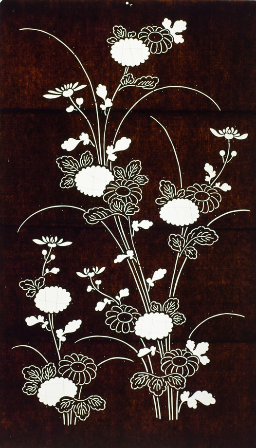 Chrysanthemum Clusters